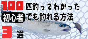 100匹釣ってわかった初心者でも釣れる方法3選アイキャッチ